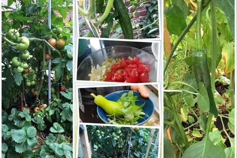 Collage der Hochbeete im JoNa