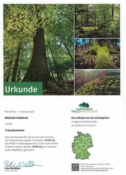 Eine Urkunde mit dem Titel 'Urkunde' und mehreren Waldfotos: großer Baum mit breitem Stamm, moosiger Stamm, dichter Wald.