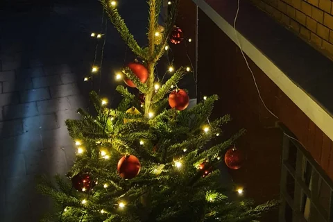 Nahaufname des Weihnachtsbaums