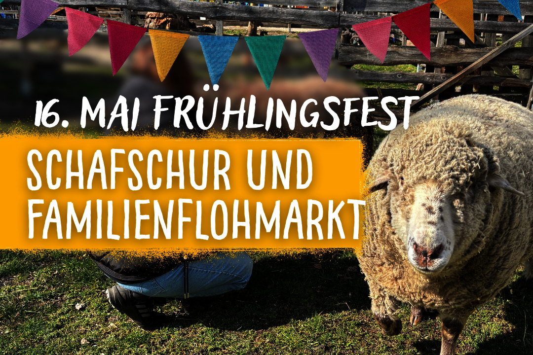 Ein Schaf und eine bunte Girlande